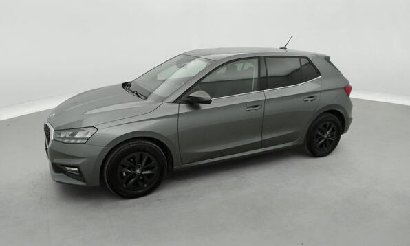 Vue 11 - Skoda Fabia