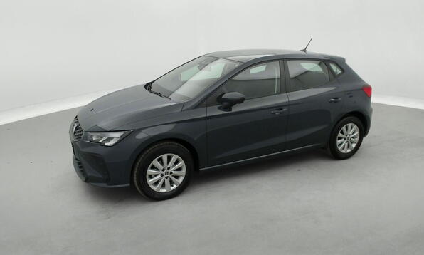 Vue 11 - Seat Ibiza