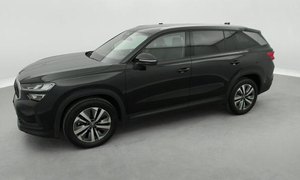 Vue 11 - Skoda Kodiaq