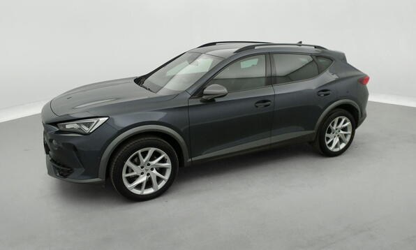 Vue 11 - Cupra Formentor