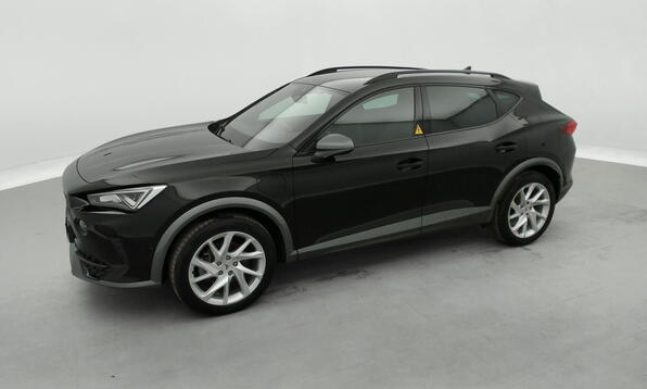 Vue 11 - Cupra Formentor