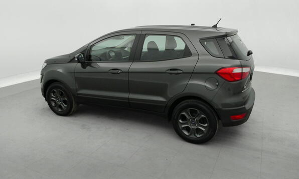 Vue 9 - Ford EcoSport