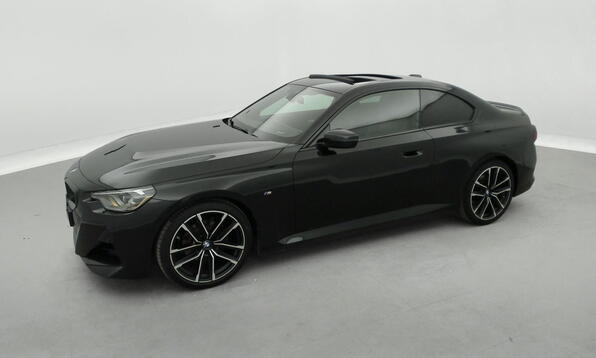 Vue 11 - BMW 220