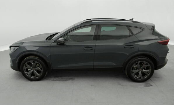 Vue 10 - Cupra Formentor