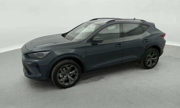 Vue 11 - Cupra Formentor