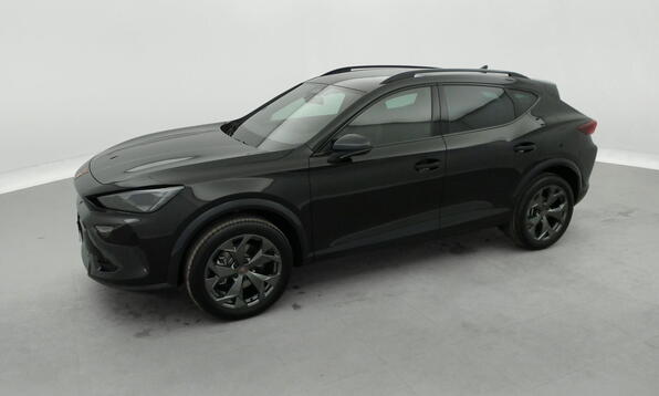 Vue 11 - Cupra Formentor