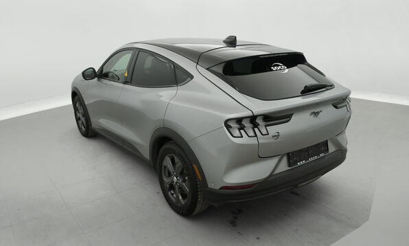 Vue 8 - Ford Mustang Mach-E