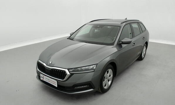 Vue 12 - Skoda Octavia