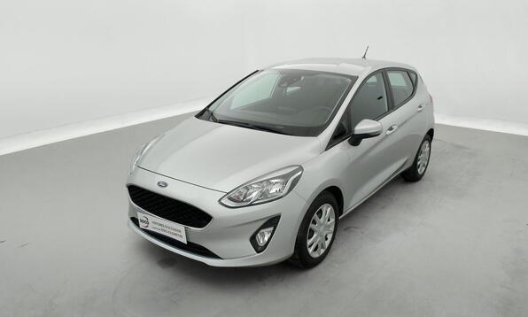 Vue 12 - Ford Fiesta