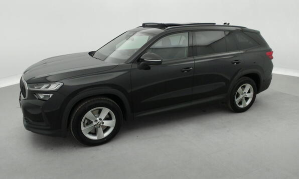 Vue 11 - Skoda Kodiaq