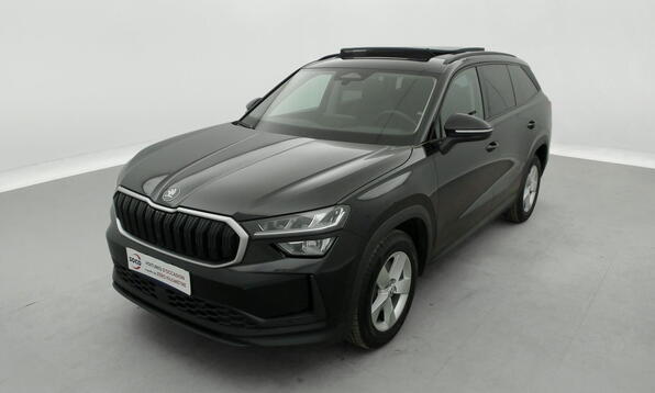 Vue 12 - Skoda Kodiaq