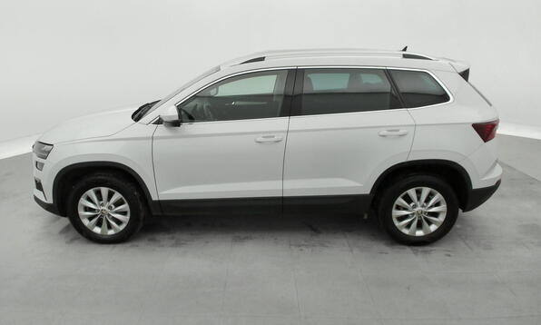 Vue 10 - Skoda Karoq