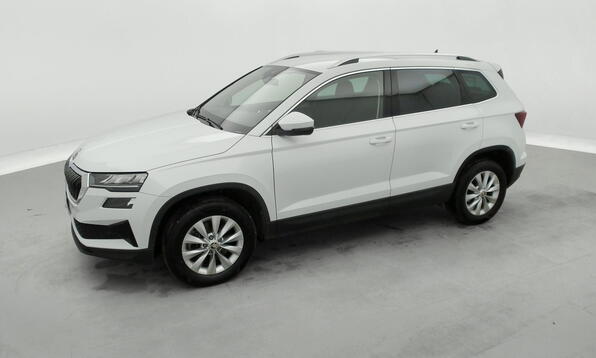 Vue 11 - Skoda Karoq
