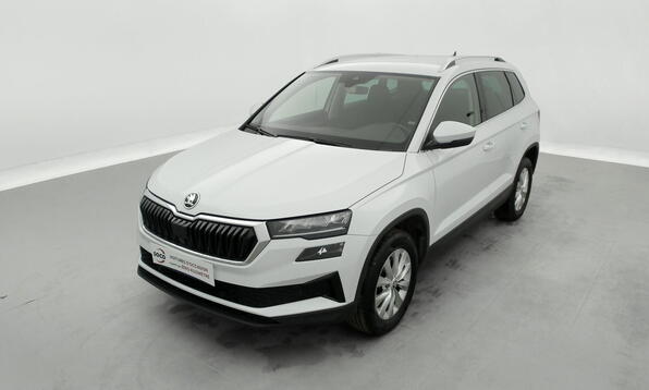 Vue 12 - Skoda Karoq