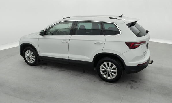 Vue 9 - Skoda Karoq