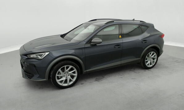 Vue 11 - Cupra Formentor