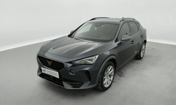 Vue 12 - Cupra Formentor