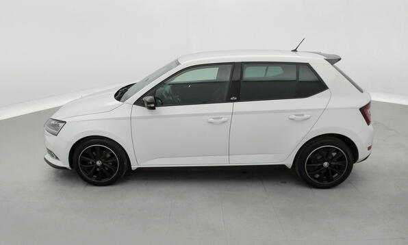 Vue 10 - Skoda Fabia