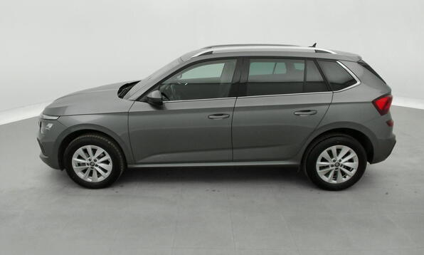 Vue 10 - Skoda Kamiq