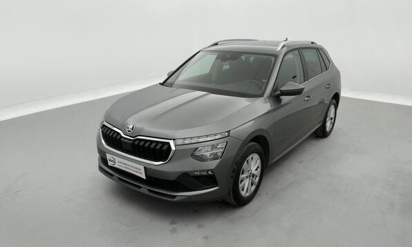 Vue 12 - Skoda Kamiq