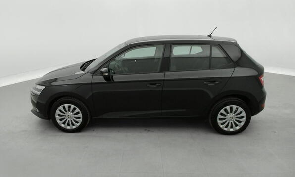Vue 10 - Skoda Fabia