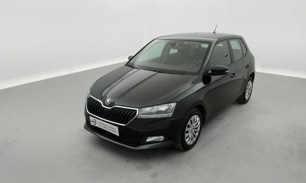 Vue 12 - Skoda Fabia