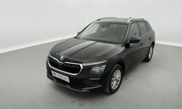 Vue 12 - Skoda Kamiq