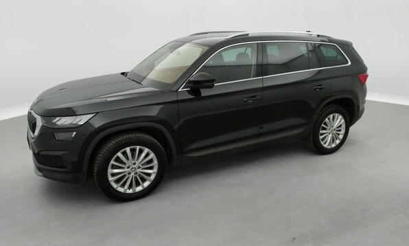Vue 11 - Skoda Kodiaq