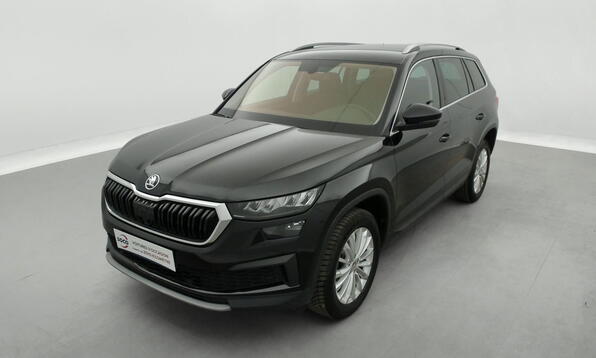 Vue 12 - Skoda Kodiaq